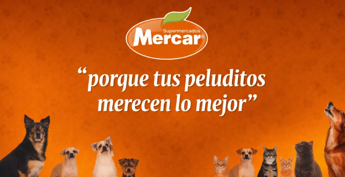 mascotas